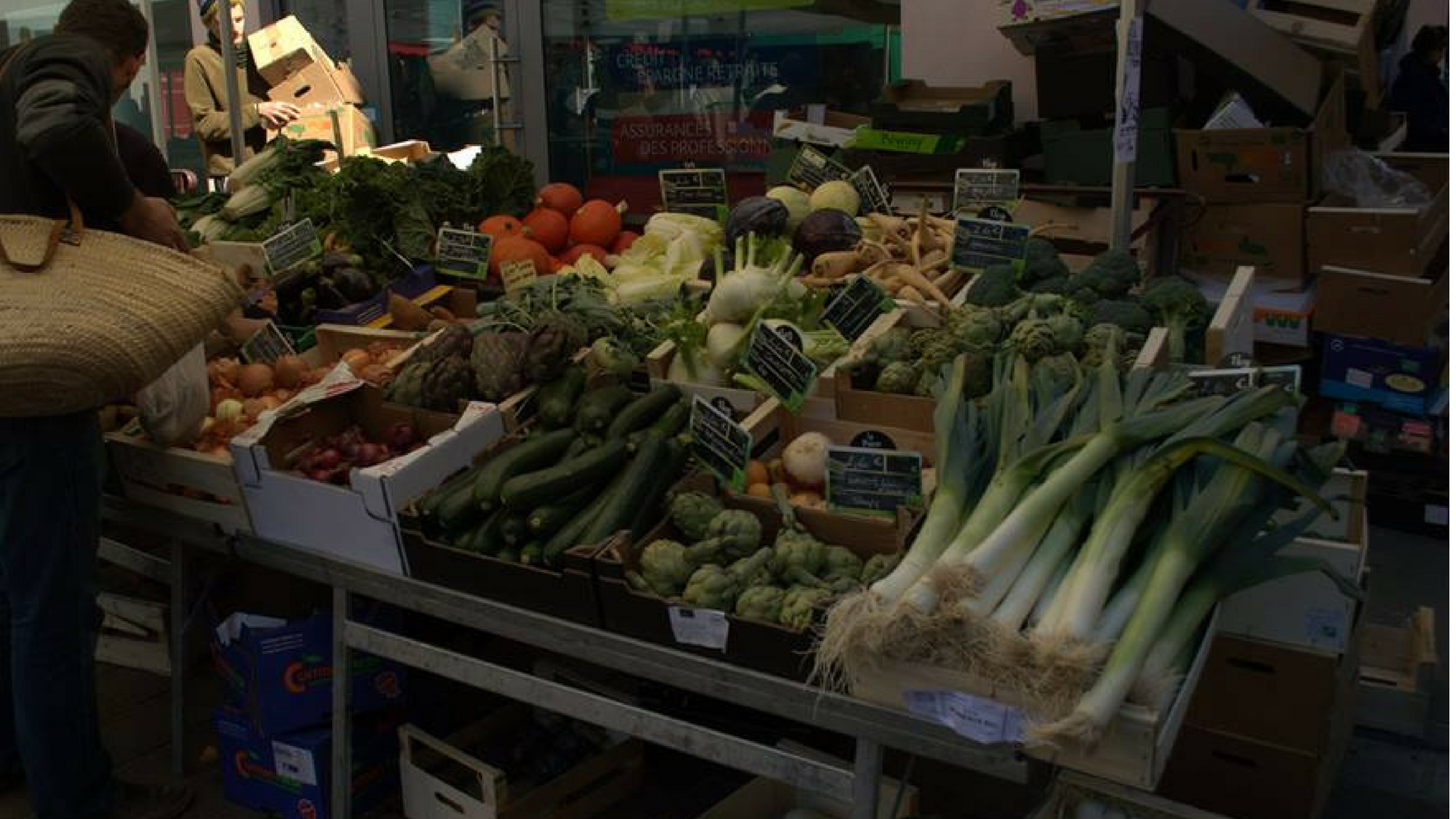Scientists study microbes in Raw salad vegetables